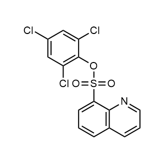 2,4,6-Trichlorophenyl quinoline-8-sulfonate|CS-0339101