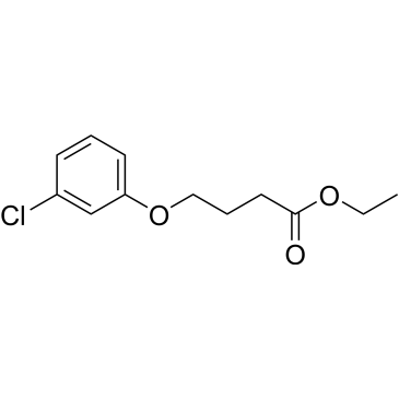 4-(3-Chloro-phenoxy)-butyric acid ethyl ester|CS-0340406
