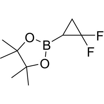 2,2-Difluoro-cyclopropaneboronic acid pinacol ester|CS-0342822