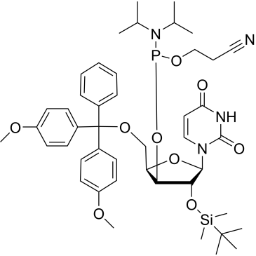 CS-0343089