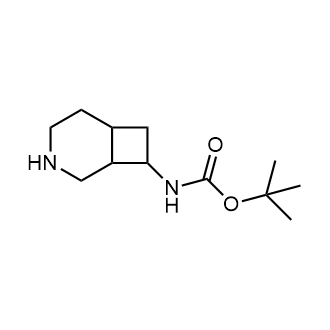 Tert-butyl (3-azabicyclo[4.2.0]octan-8-yl)carbamate|CS-0346572
