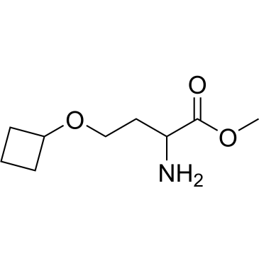Methyl o-cyclobutylhomoserinate|CS-0346930