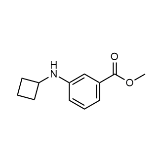 Methyl 3-(cyclobutylamino)benzoate|CS-0347298