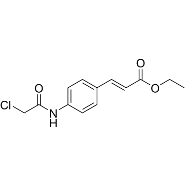 Ethyl 3-(4-(2-chloroacetamido)phenyl)acrylate|CS-0347970