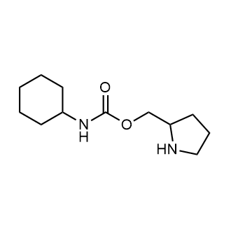 Pyrrolidin-2-ylmethyl cyclohexylcarbamate|CS-0348255