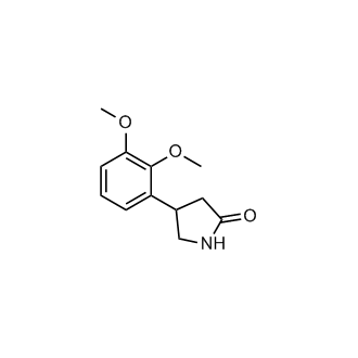 4-(2,3-Dimethoxyphenyl)pyrrolidin-2-one|CS-0349542