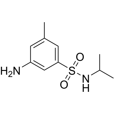 3-Amino-n-isopropyl-5-methylbenzenesulfonamide|CS-0350686