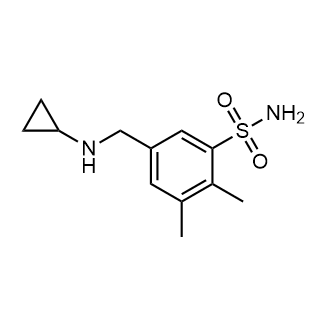 5-((Cyclopropylamino)methyl)-2,3-dimethylbenzenesulfonamide|CS-0350723