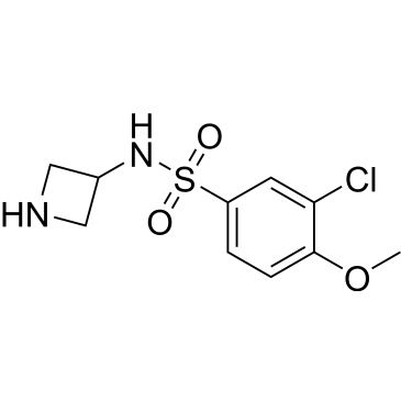 N-(Azetidin-3-yl)-3-chloro-4-methoxybenzenesulfonamide|CS-0351057
