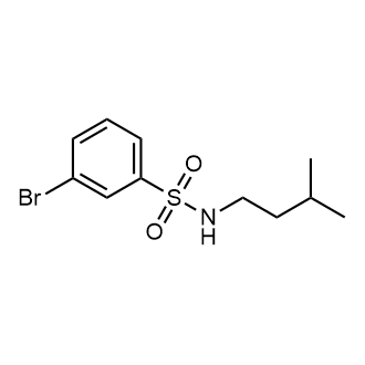 3-Bromo-n-isopentylbenzenesulfonamide|CS-0351113