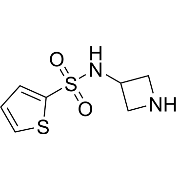N-(Azetidin-3-yl)thiophene-2-sulfonamide|CS-0351247