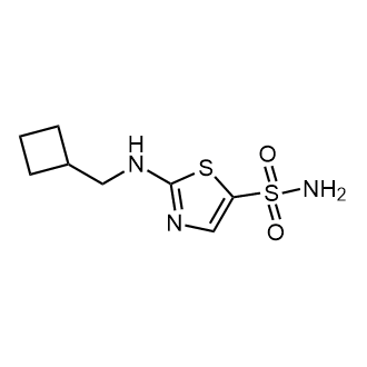2-((Cyclobutylmethyl)amino)thiazole-5-sulfonamide|CS-0351307