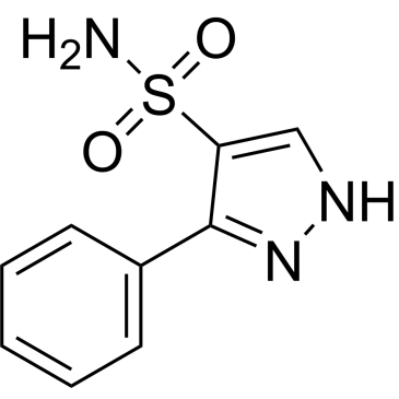 3-Phenyl-1h-pyrazole-4-sulfonamide|CS-0351320