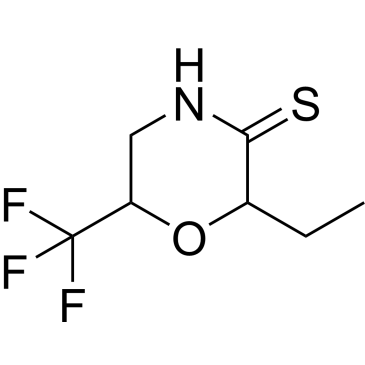 2-Ethyl-6-(trifluoromethyl)morpholine-3-thione|CS-0355909