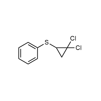 (2,2-Dichlorocyclopropyl)(phenyl)sulfane|CS-0357120