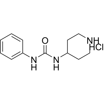 1-Phenyl-3-(piperidin-4-yl)urea hydrochloride|CS-0358230