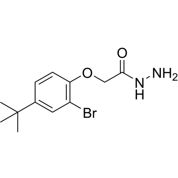 2-(2-Bromo-4-(tert-butyl)phenoxy)acetohydrazide|CS-0358513