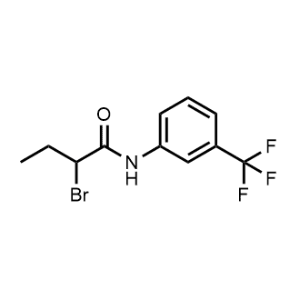2-Bromo-N-(3-(trifluoromethyl)phenyl)butanamide|CS-0359114