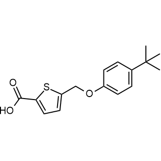 5-((4-(Tert-butyl)phenoxy)methyl)thiophene-2-carboxylic acid|CS-0360515