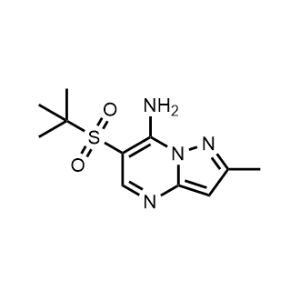 6-(Tert-butylsulfonyl)-2-methylpyrazolo[1,5-a]pyrimidin-7-amine|CS-0360923