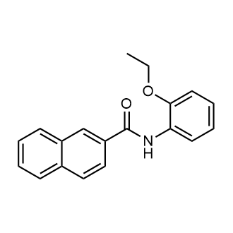 N-(2-ethoxyphenyl)-2-naphthamide|CS-0362103
