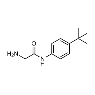 2-Amino-N-(4-(tert-butyl)phenyl)acetamide|CS-0365055