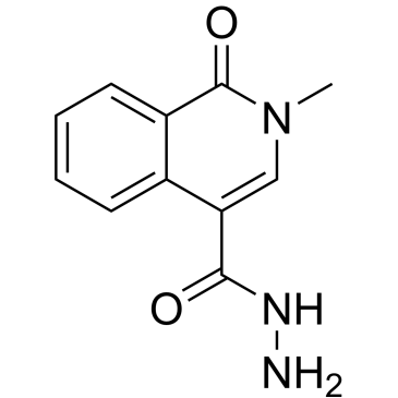 2-Methyl-1-oxo-1,2-dihydroisoquinoline-4-carbohydrazide|CS-0365128