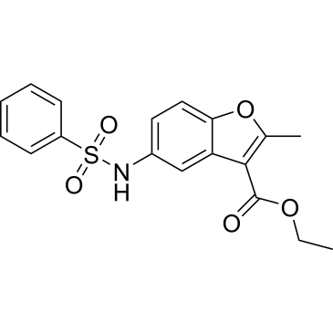 Ethyl 2-methyl-5-(phenylsulfonamido)benzofuran-3-carboxylate|CS-0365142