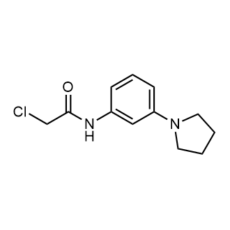 2-Chloro-N-(3-(pyrrolidin-1-yl)phenyl)acetamide|CS-0365238