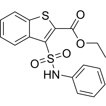 Ethyl 3-(N-phenylsulfamoyl)benzo[b]thiophene-2-carboxylate|CS-0365711