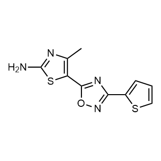 4-Methyl-5-(3-(thiophen-2-yl)-1,2,4-oxadiazol-5-yl)thiazol-2-amine|CS-0366616