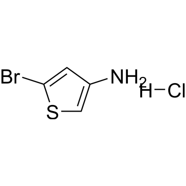 5-Bromothiophen-3-amine hydrochloride|CS-0367184