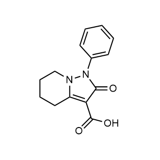 2-Oxo-1-phenyl-1,2,4,5,6,7-hexahydropyrazolo[1,5-a]pyridine-3-carboxylic acid|CS-0372670
