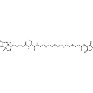 NHS-PEG4-biotinidase resistant biotin|CS-0373129