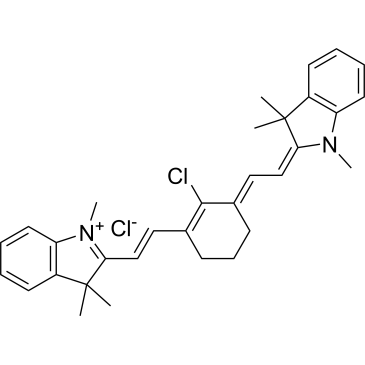 IR-775 chloride|CS-0373782