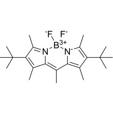 Pyrromethene 597|CS-0373848