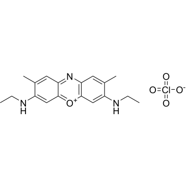 3,7-Bis(ethylamino)-2,8-dimethylphenoxazin-5-ium perchlorate|CS-0373875