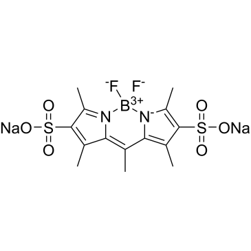 Pyrromethene 556|CS-0373876