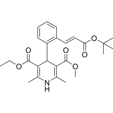 (E)-3-Ethyl 5-methyl 4-(2-(3-(tert-butoxy)-3-oxoprop-1-en-1-yl)phenyl)-2,6-dimethyl-1,4-dihydropyridine-3,5-dicarboxylate Lacidipine Impurity|CS-0379749