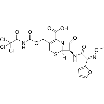 (6R,7R)-7-((Z)-2-(Furan-2-yl)-2-(methoxyimino)acetamido)-8-oxo-3-((((2,2,2-trichloroacetyl)carbamoyl)oxy)methyl)-5-thia-1-azabicyclo[4.2.0]oct-2-ene-2-carboxylic acid Cefuroxime Impurity|CS-0380862