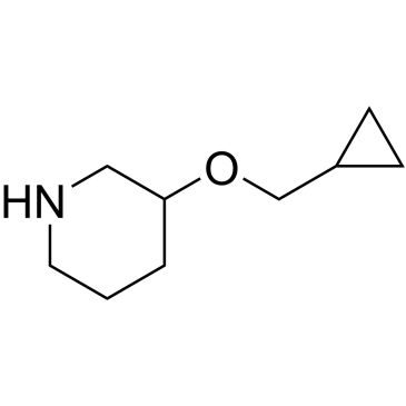 3-(Cyclopropylmethoxy)piperidine|CS-0416269