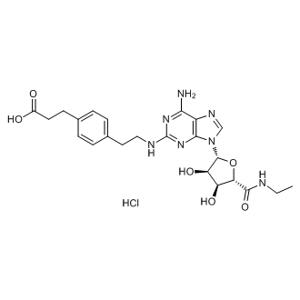 CGS 21680 Hydrochloride|CS-0425