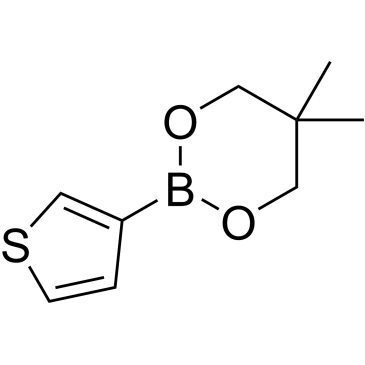 5,5-Dimethyl-2-(thiophen-3-yl)-1,3,2-dioxaborinane|CS-0439117