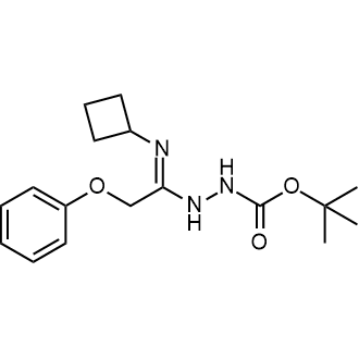 Tert-butyl 2-(1-(cyclobutylimino)-2-phenoxyethyl)hydrazine-1-carboxylate|CS-0440594