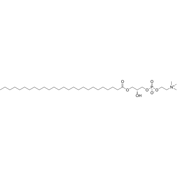 1-Hexacosanoyl-sn-glycero-3-phosphocholine|CS-0442512