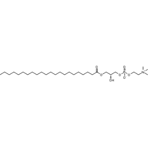 1-Docosanoyl-sn-glycero-3-phosphocholine|CS-0443118