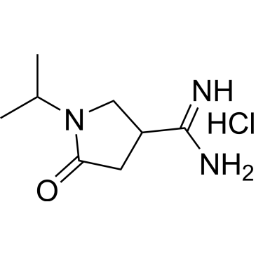 1-Isopropyl-5-oxopyrrolidine-3-carboximidamide hydrochloride|CS-0444029