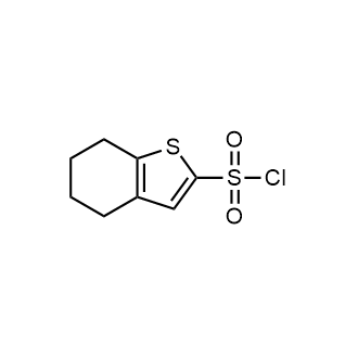 4,5,6,7-Tetrahydrobenzo[b]thiophene-2-sulfonyl chloride|CS-0444362