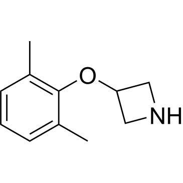 3-(2,6-Dimethylphenoxy)azetidine|CS-0446036
