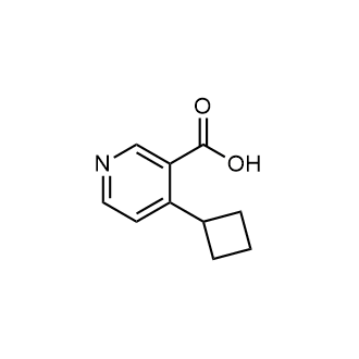 4-Cyclobutylnicotinic acid|CS-0447405